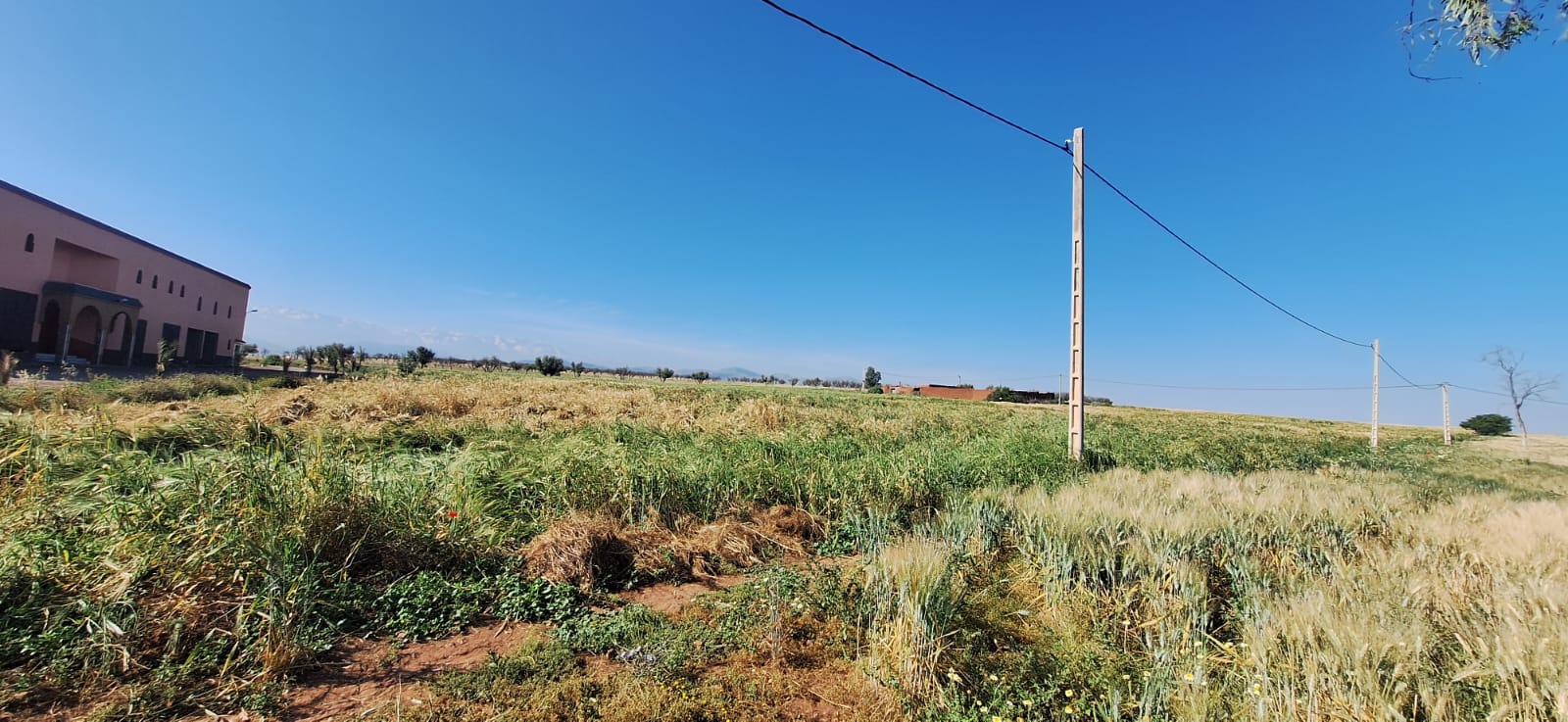 Domaine de 92,5 Ha : Route de Tahanaout